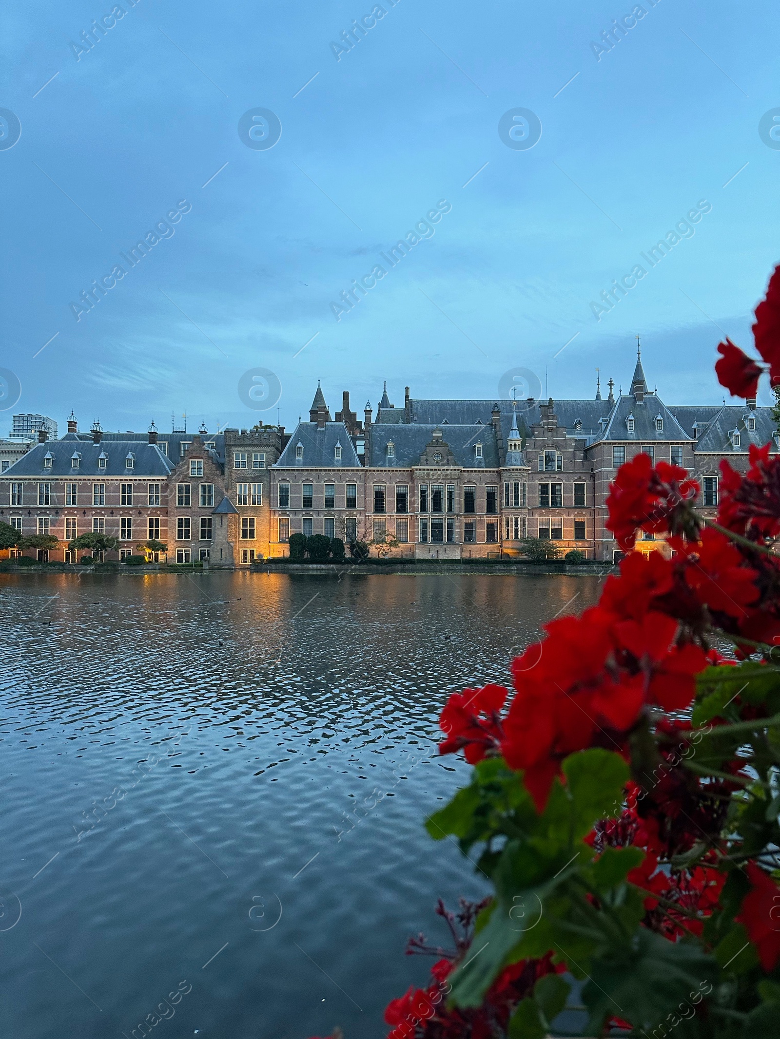 Photo of Beautiful view of red flowers and buildings on riverside in city