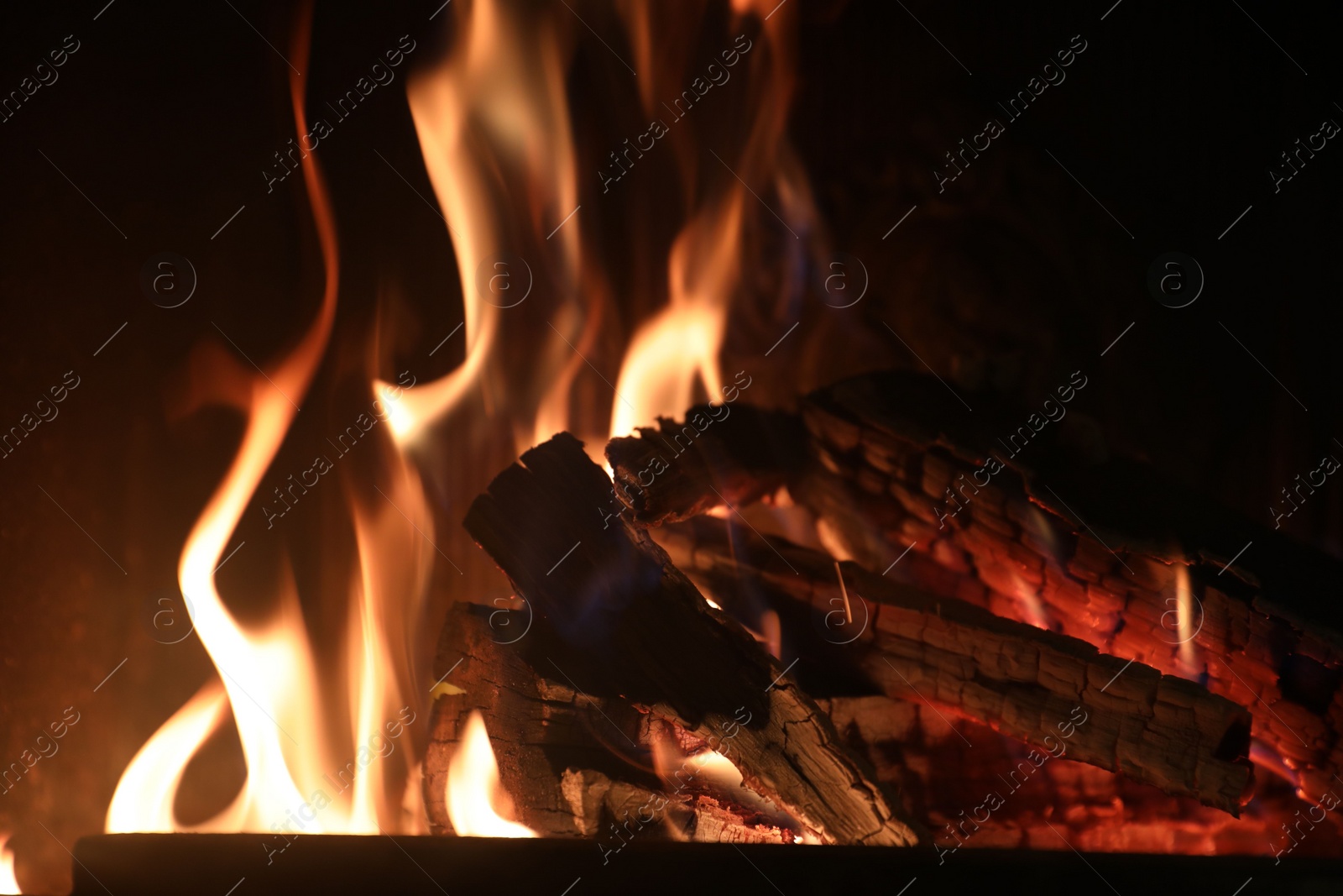 Photo of Bonfire with burning firewood on dark background, closeup