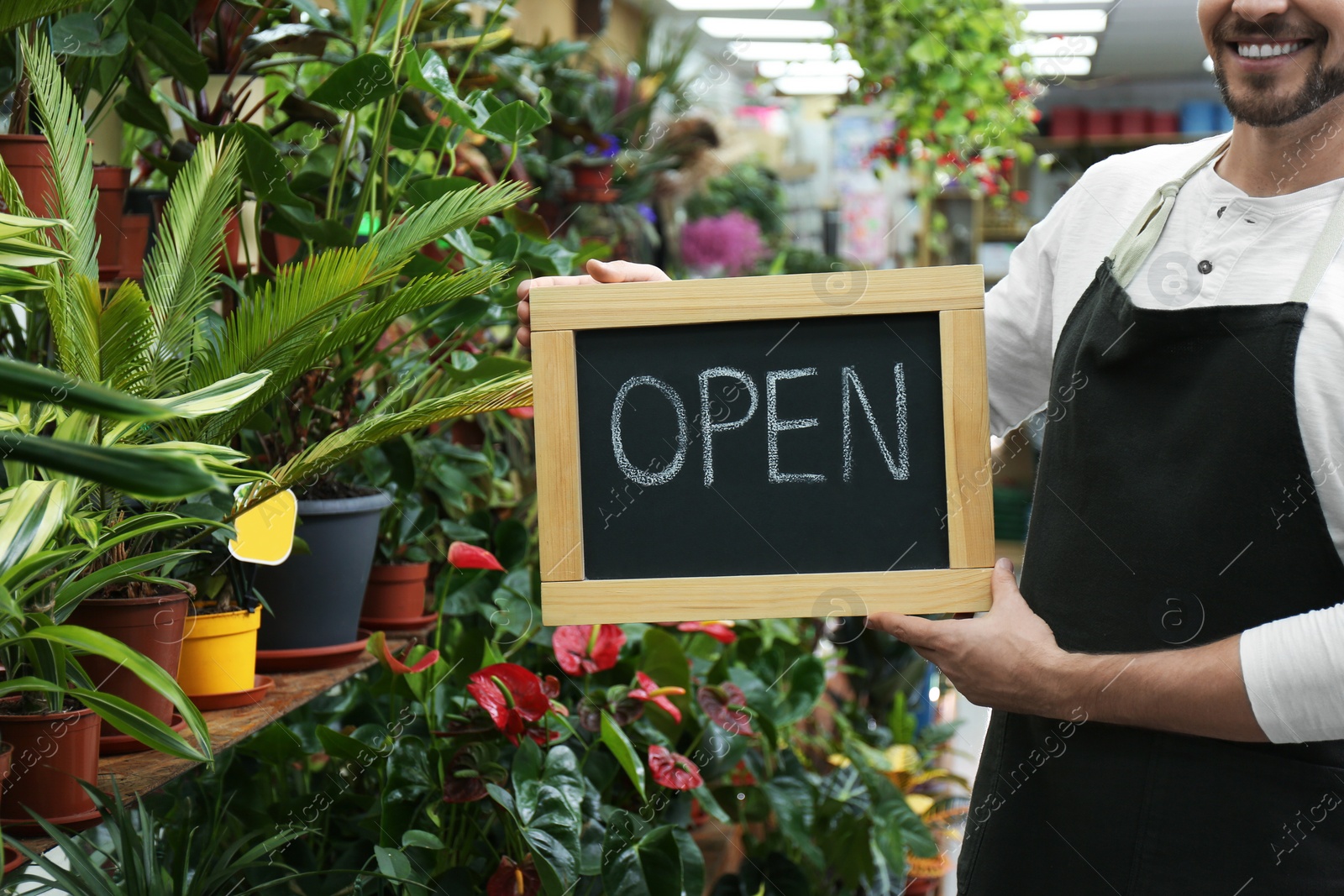 Photo of Male business owner holding OPEN sign in his flower shop, closeup