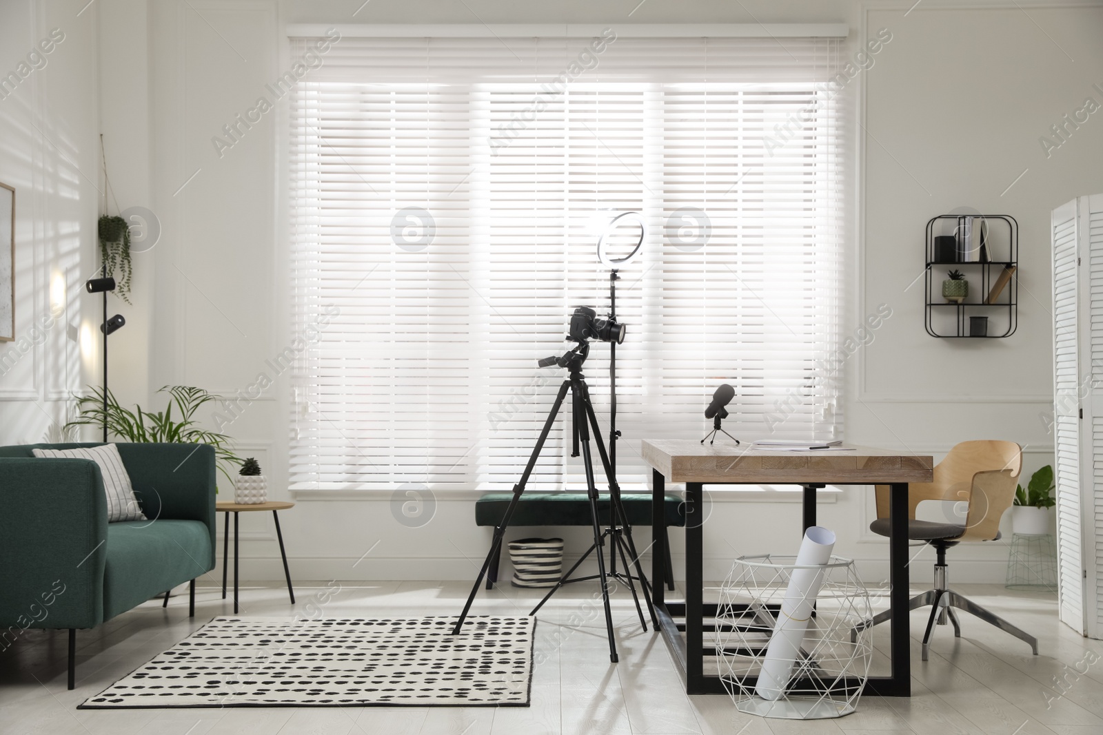 Photo of Ring light, camera and microphone for blogging in room