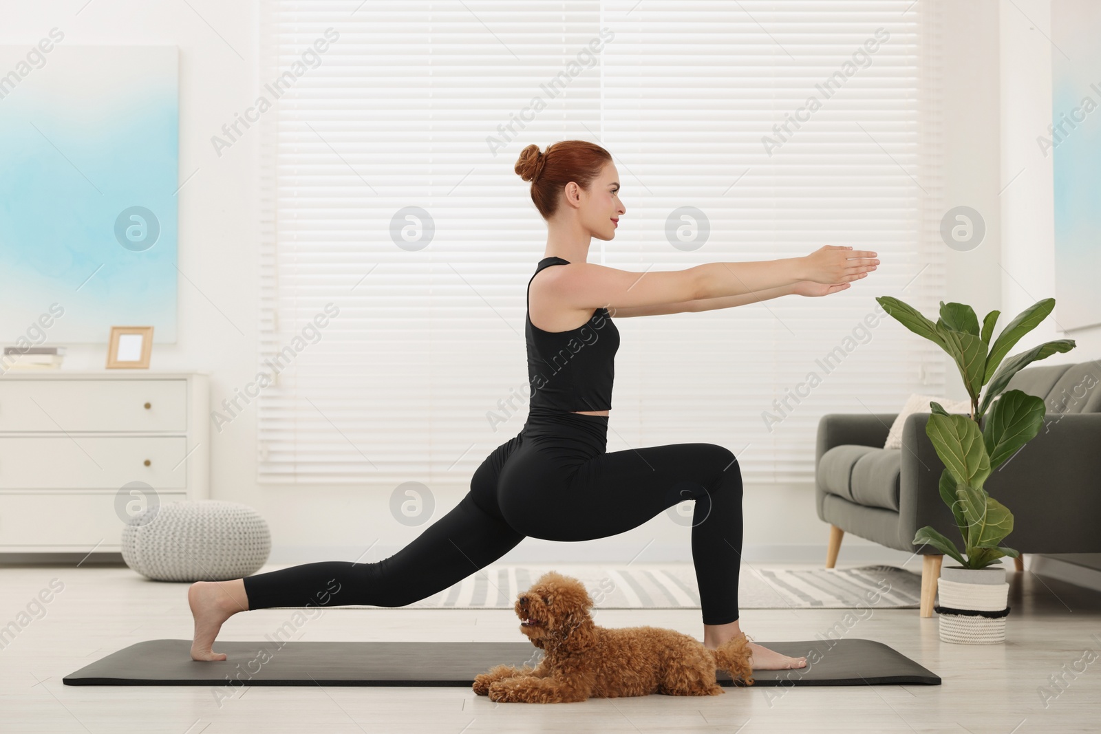 Photo of Young woman practicing yoga on mat with her cute dog at home