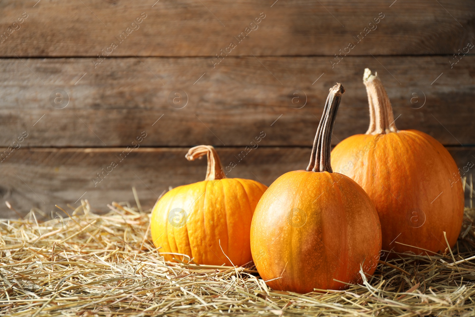 Photo of Ripe pumpkins on hay against wooden background, space for text. Holiday decoration