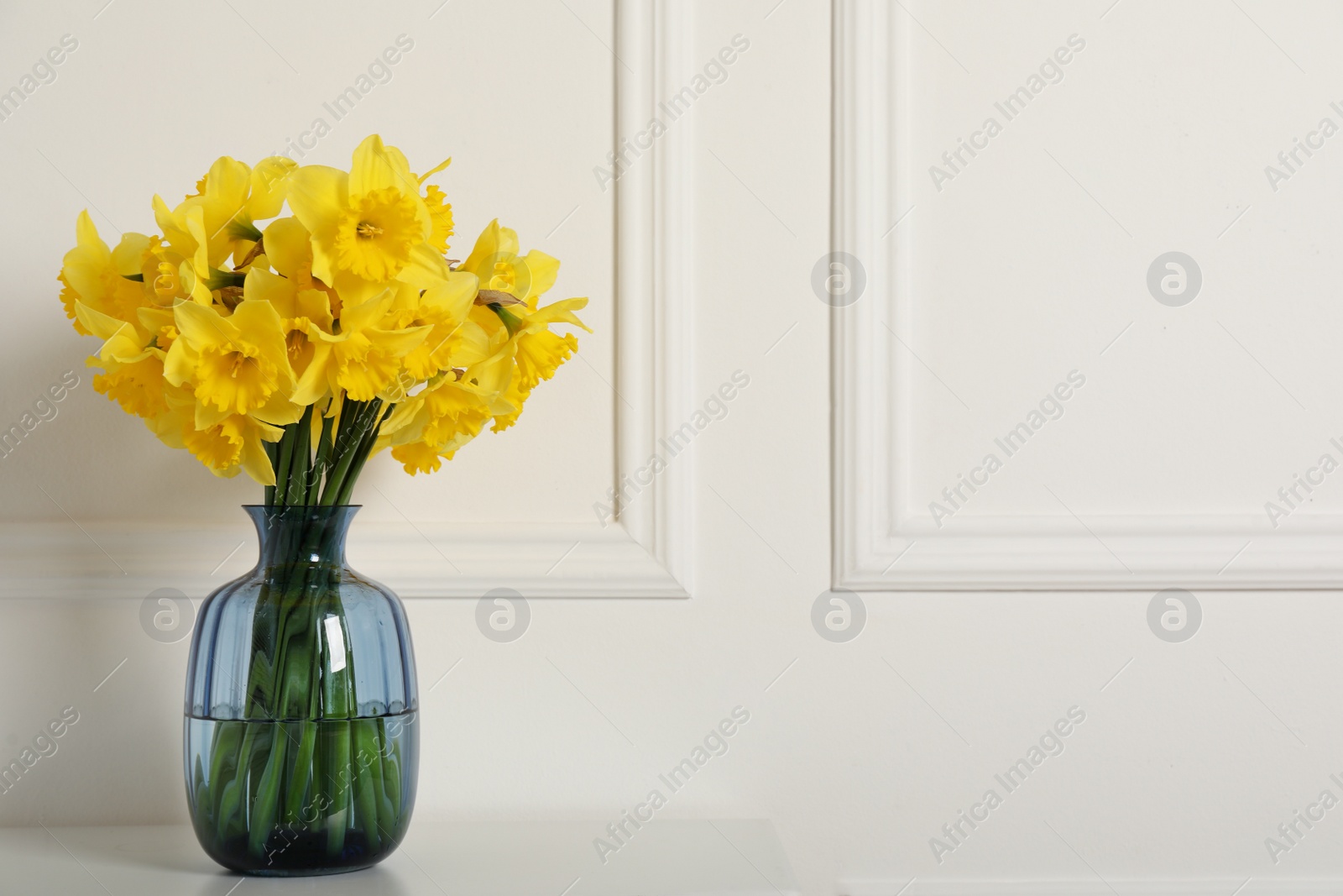 Photo of Beautiful daffodils in vase on table near white wall indoors, space for text