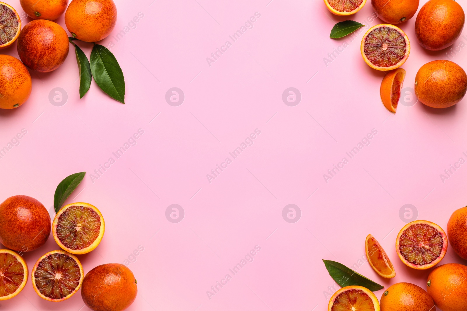 Photo of Many ripe sicilian oranges and leaves on pink background, flat lay. Space for text