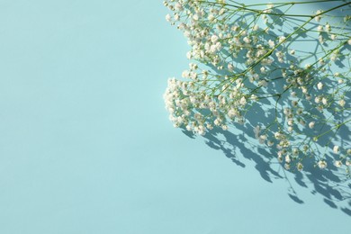 Photo of Beautiful gypsophila flowers on turquoise background. Space for text