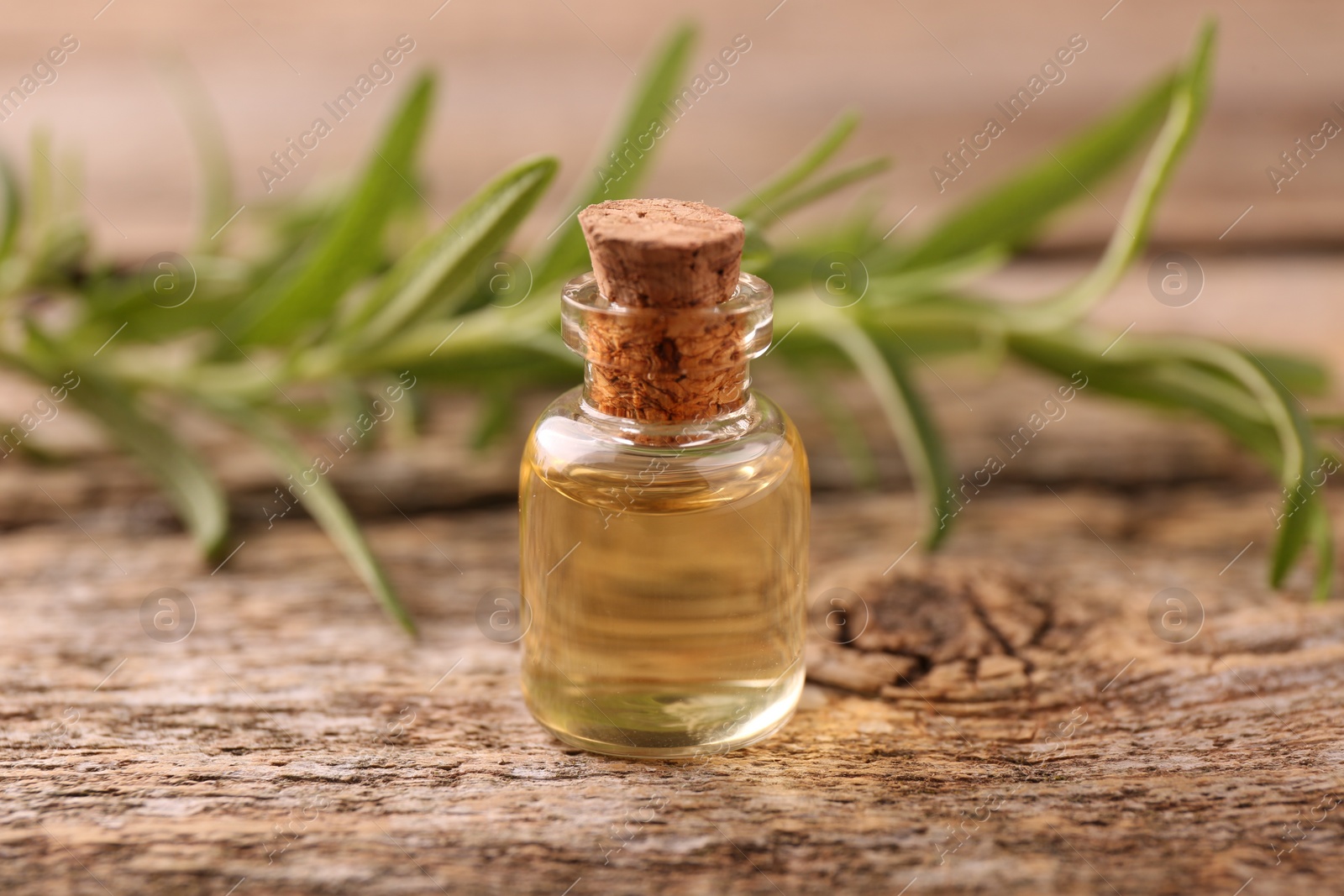 Photo of Aromatic essential oil in bottle and rosemary on wooden table, closeup