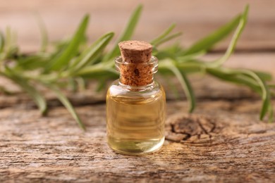 Aromatic essential oil in bottle and rosemary on wooden table, closeup