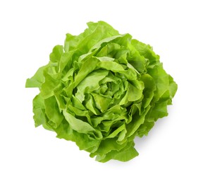 Photo of Fresh green butter lettuce head isolated on white, top view