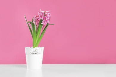 Beautiful hyacinth in pot on table against color background, space for text. Spring flower