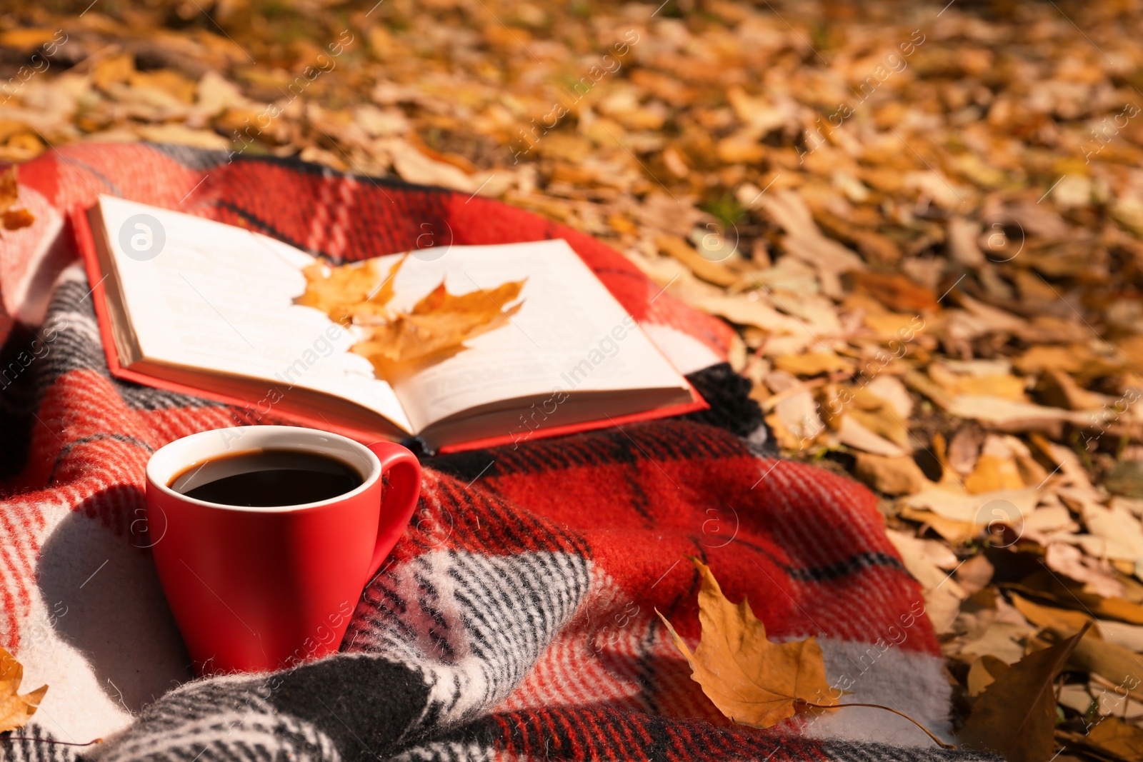 Photo of Plaid with cup of coffee and book in park on sunny autumn day. Space for text