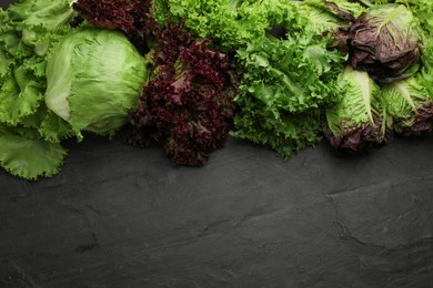 Photo of Different sorts of lettuce on black slate table, flat lay. Space for text