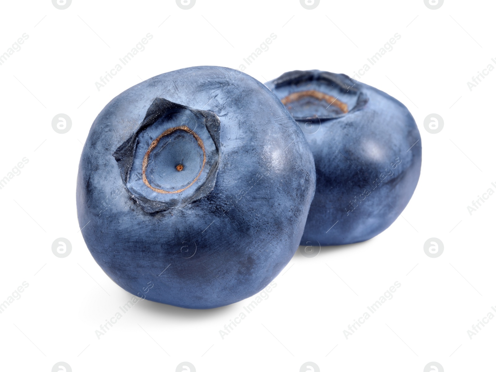 Photo of Two fresh ripe blueberries isolated on white
