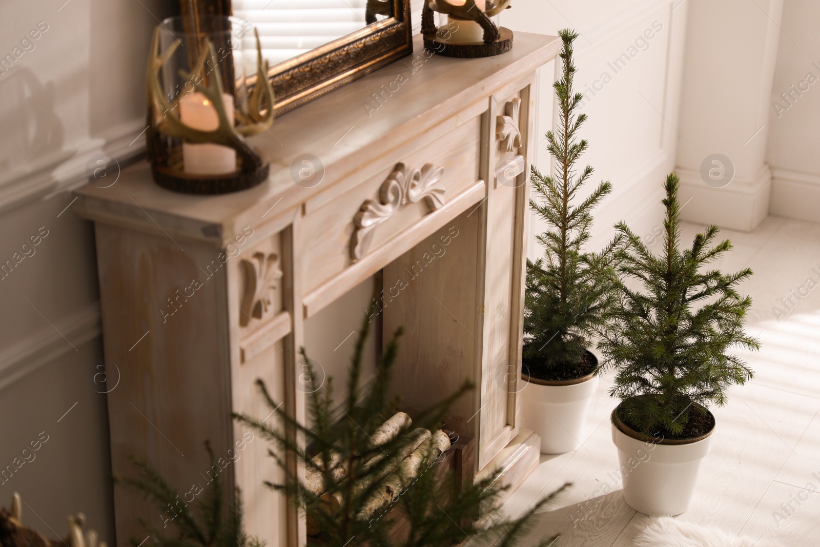 Photo of Beautiful room interior with potted fir trees and fireplace