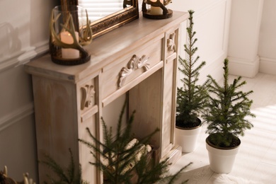 Beautiful room interior with potted fir trees and fireplace