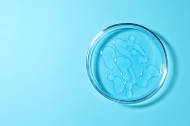 Photo of Petri dish with liquid on light blue background, top view. Space for text