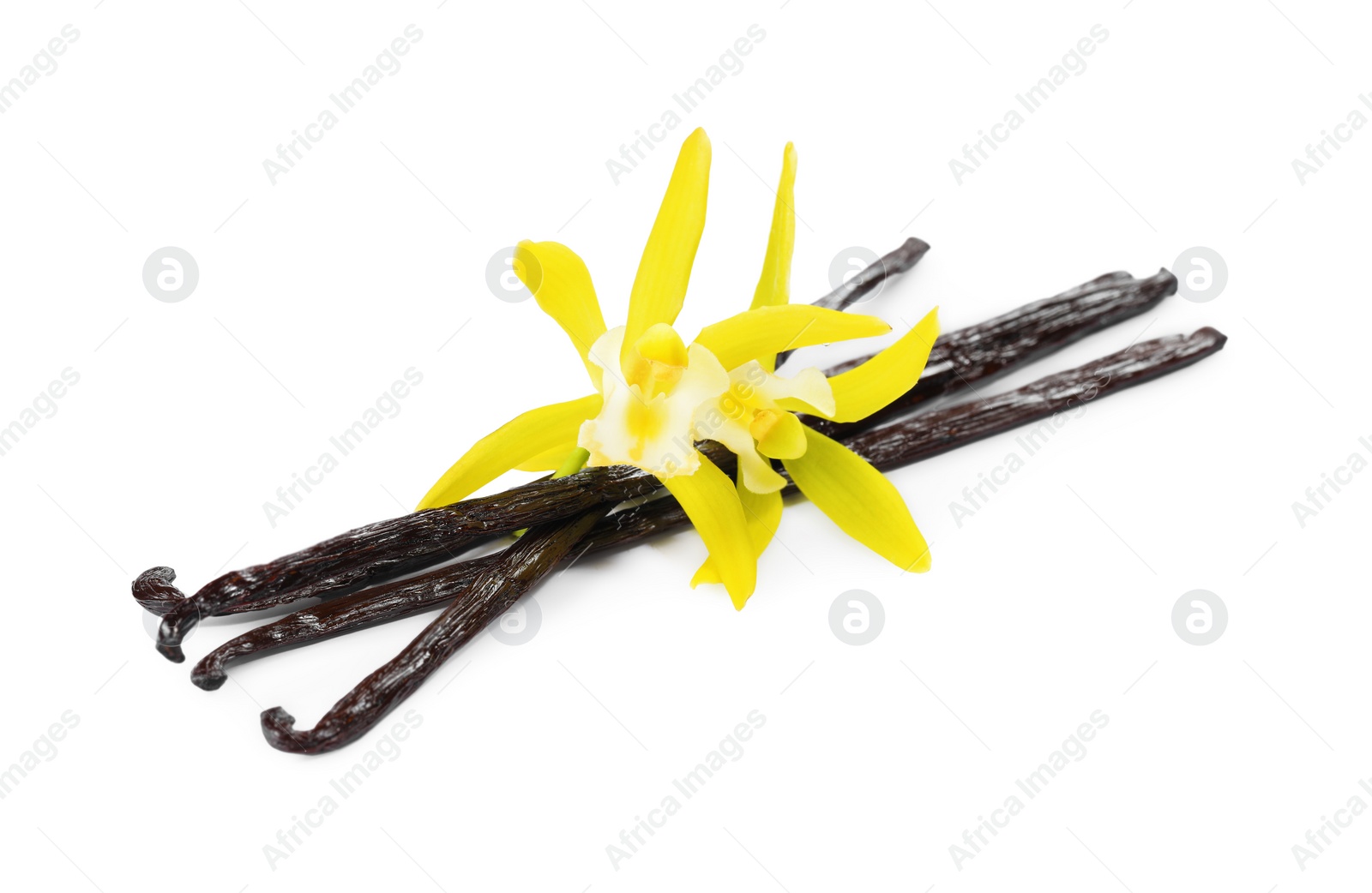 Photo of Vanilla pods and beautiful flowers isolated on white