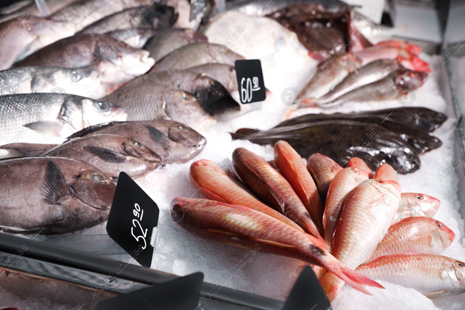 Photo of Different types of fresh fish on ice in supermarket