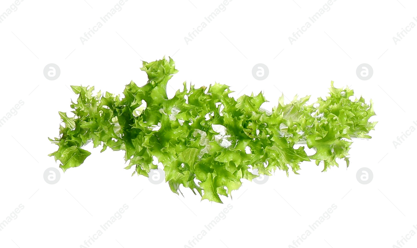 Photo of Fresh green lettuce isolated on white. Sandwich ingredient