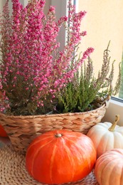 Wicker basket with beautiful heather flowers and pumpkins near window indoors