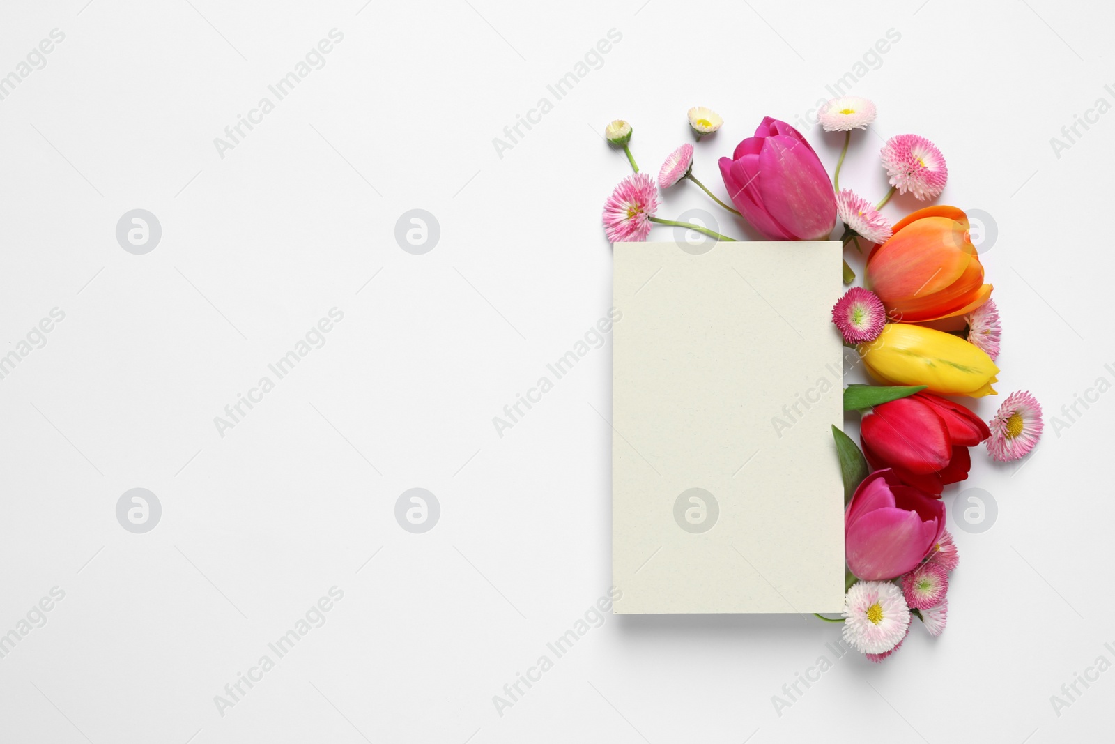 Photo of Beautiful composition with spring flowers and blank card on white background, top view. Space for text