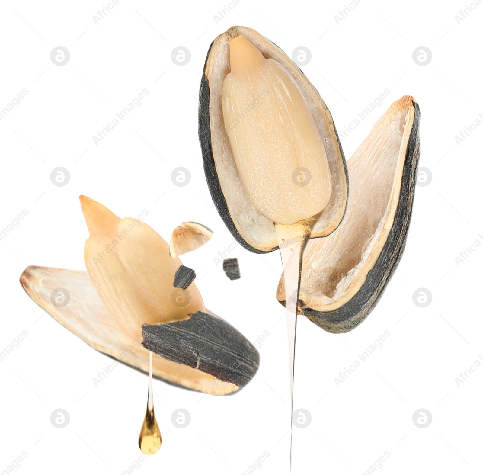 Image of Sunflower seeds with oil and husk on white background