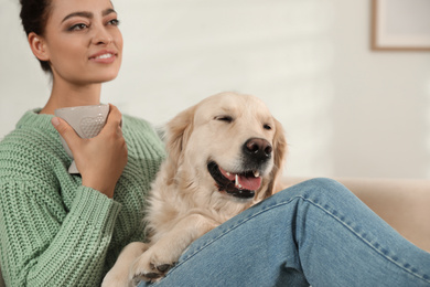 Photo of Young woman with cup of drink and her Golden Retriever on sofa at home. Adorable pet
