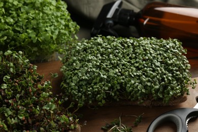 Photo of Fresh natural microgreens and scissors on table
