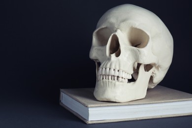 Photo of White human skull with book on black background, space for text