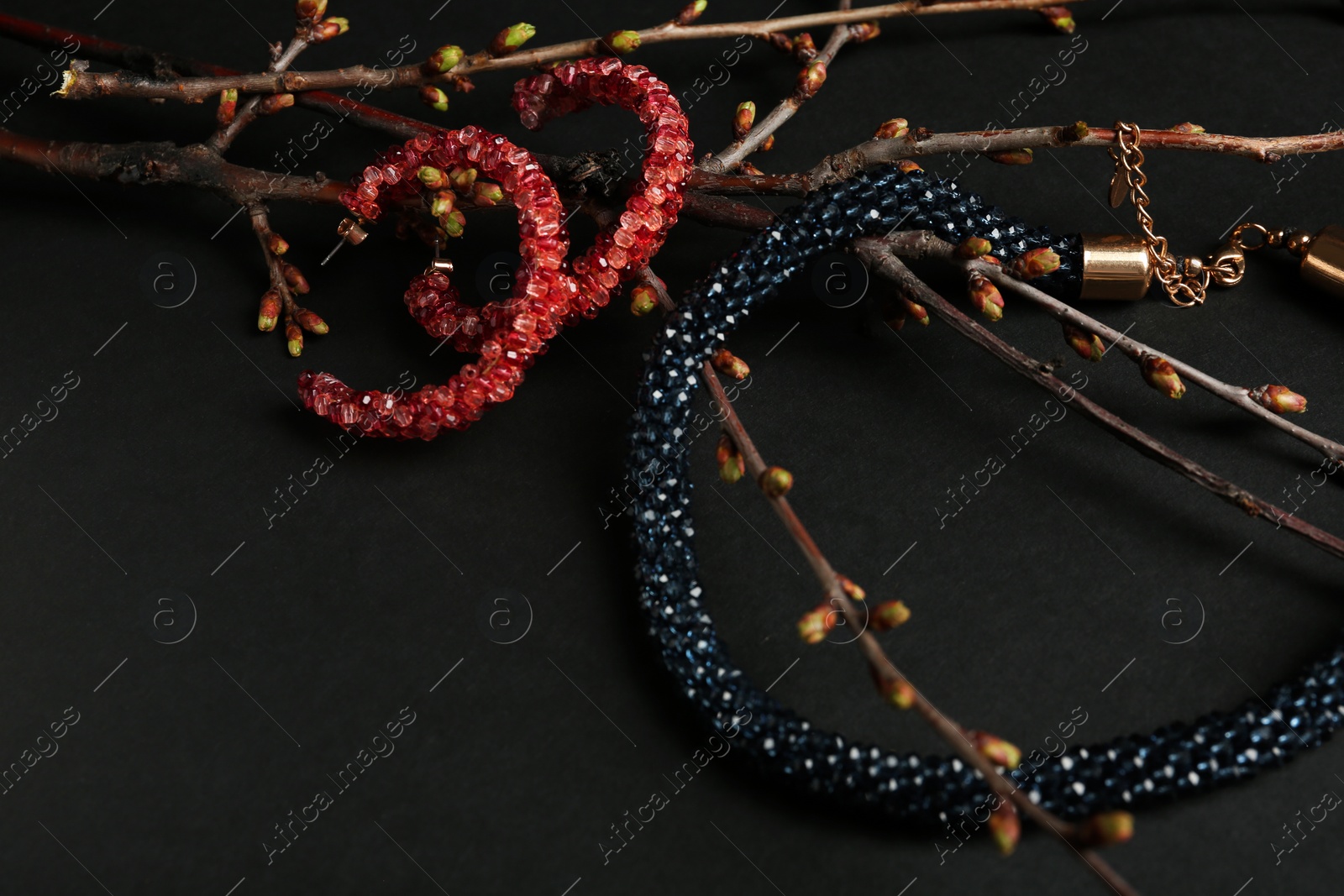 Photo of Branches with set of elegant jewelry on black background. Space for text