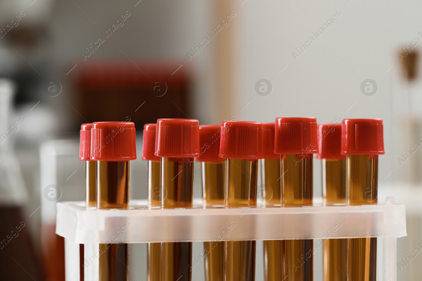 Photo of Test tubes with brown liquid in stand, closeup