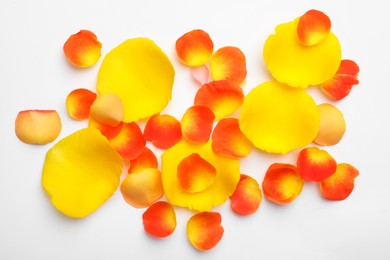 Photo of Beautiful petals on white background, flat lay
