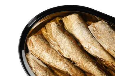 One tin can of sprats isolated on white