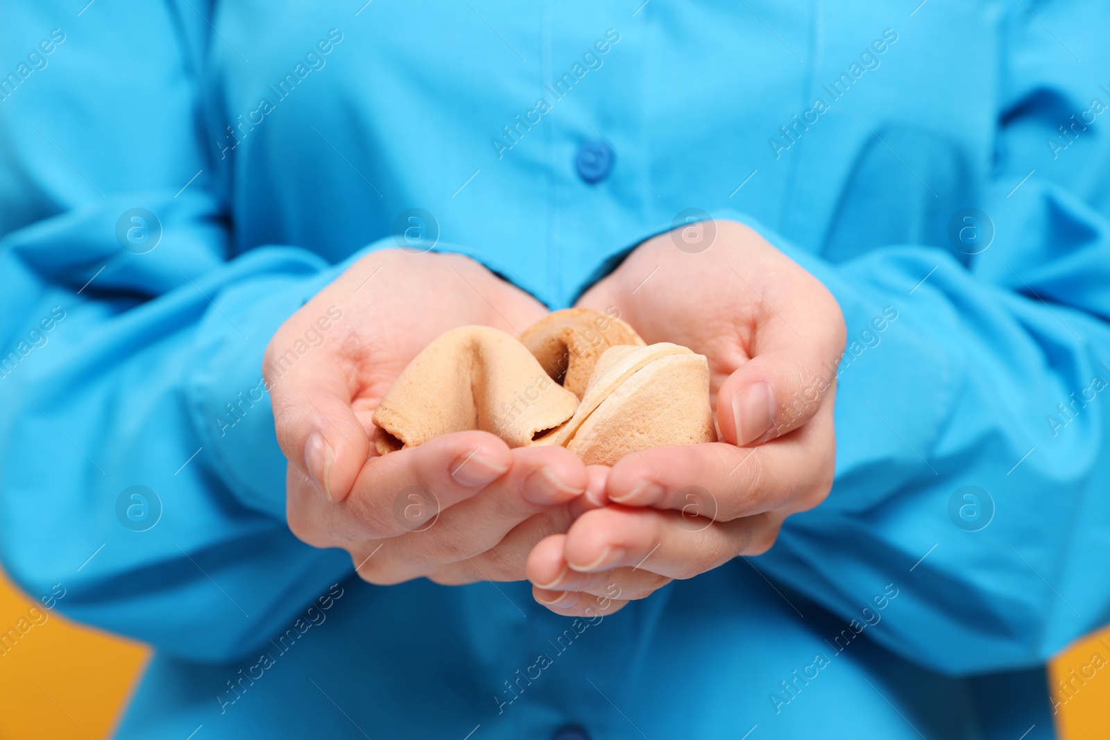 Photo of Young woman holding tasty fortune cookies with predictions on yellow background, closeup