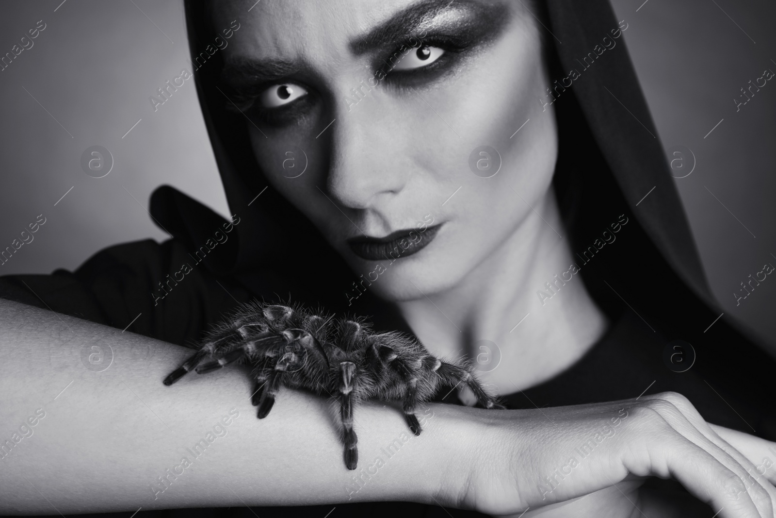 Photo of Mysterious witch with spooky spider on dark background, closeup. Black and white effect