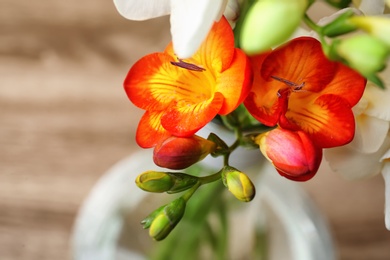 Beautiful freesia flowers on blurred background, closeup