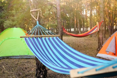 Photo of Colorful tents and empty comfortable hammocks in forest