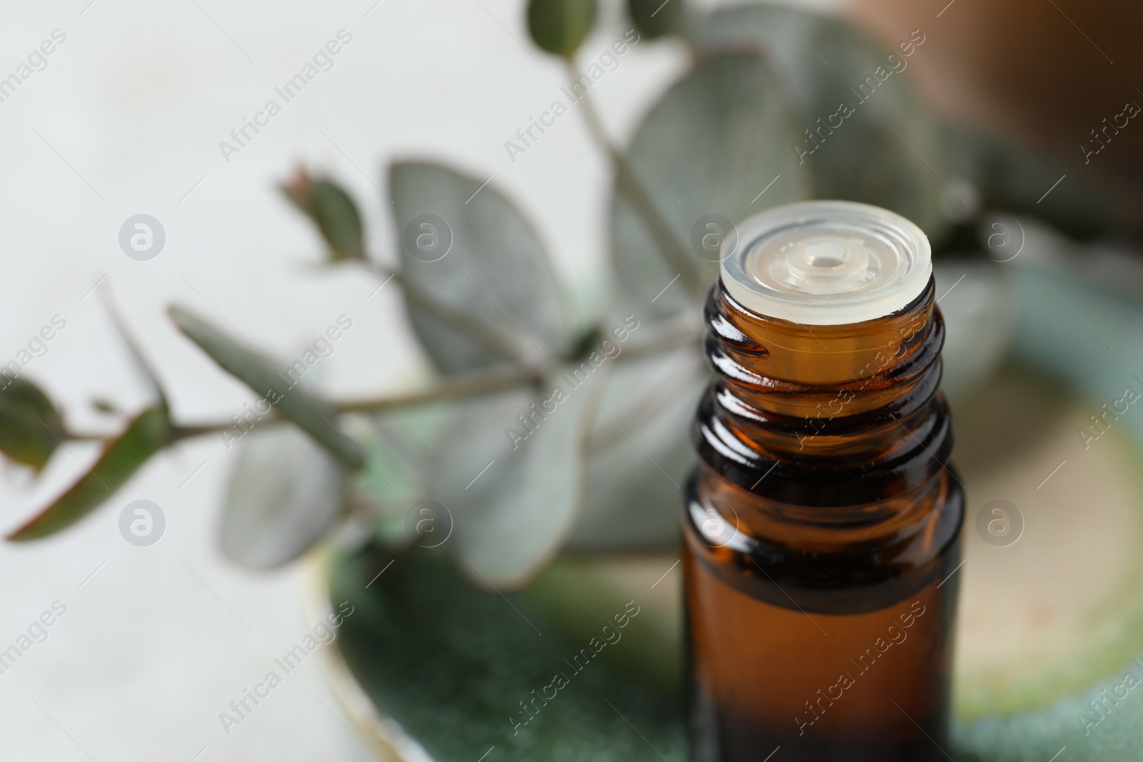 Photo of Bottle of eucalyptus essential oil against blurred background, closeup. Space for text