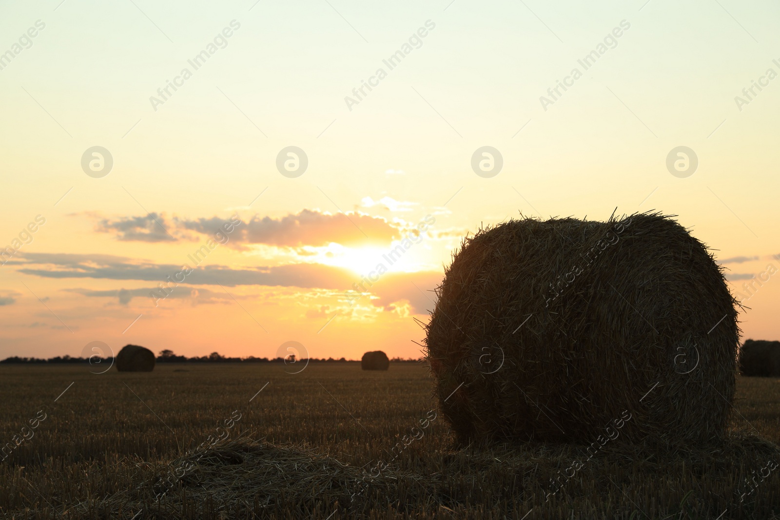 Photo of Beautiful view of agricultural field with hay bale at sunset