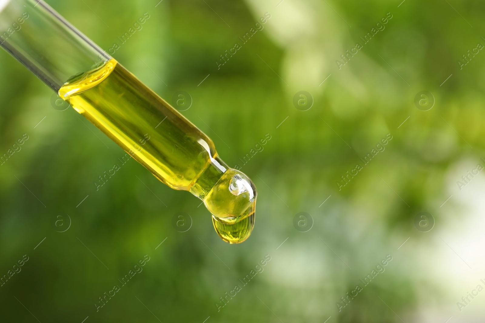 Photo of Pipette with essential oil on blurred background. Space for text