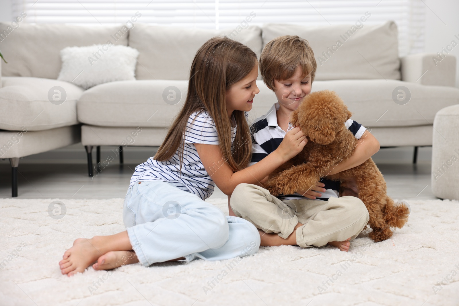 Photo of Little children playing with cute puppy on carpet at home. Lovely pet