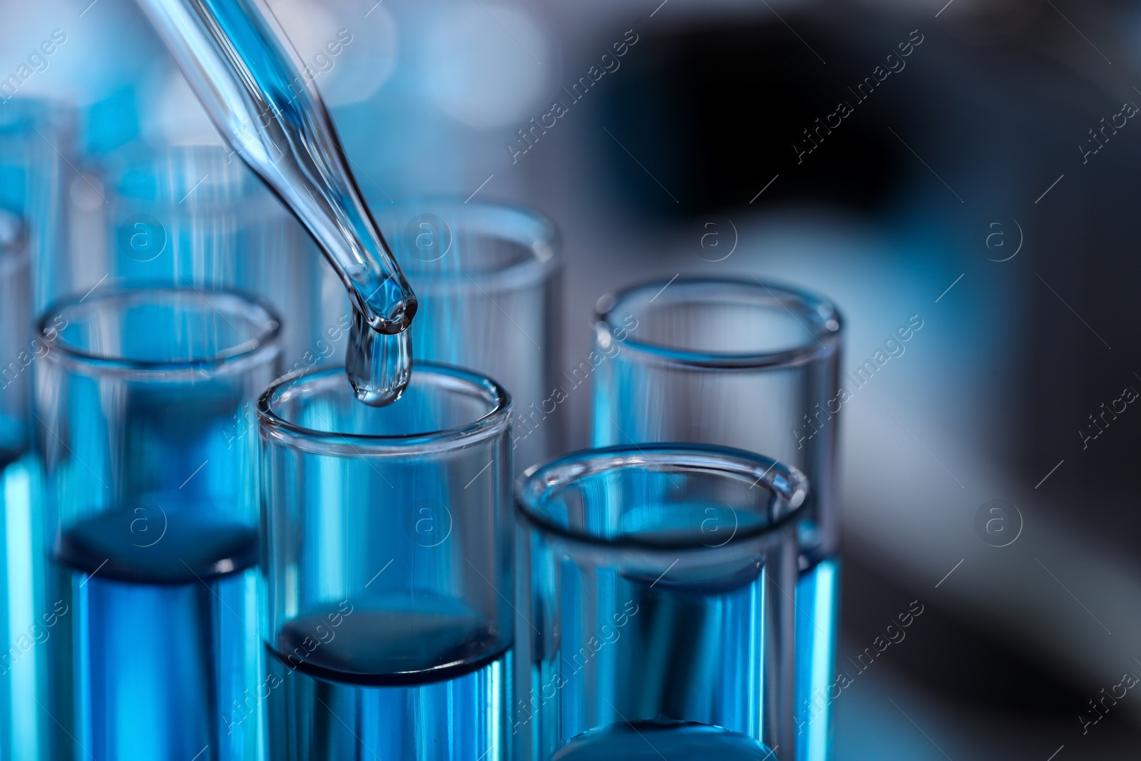 Photo of Dripping liquid from pipette into test tube in laboratory, closeup