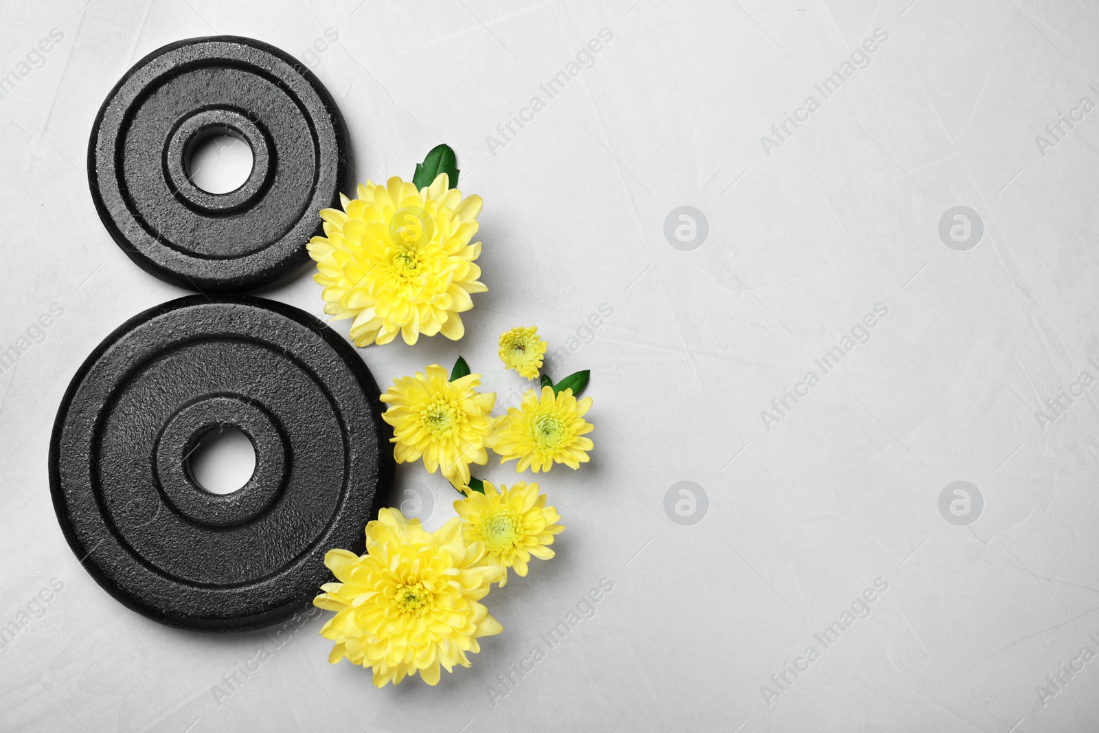 Photo of 8 March greeting card design with chrysanthemum flowers, weight plates and space for text on light grey background, flat lay. International Women's day