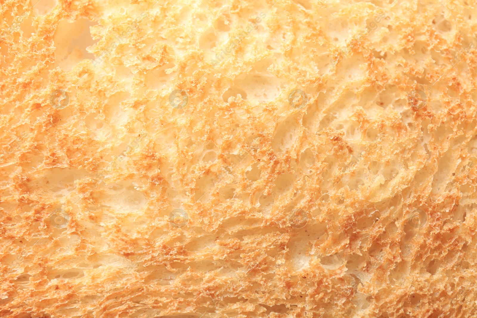 Photo of Toasted bread as background, closeup