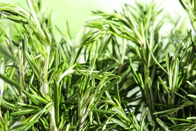 Photo of Branches of fresh rosemary on blurred green background