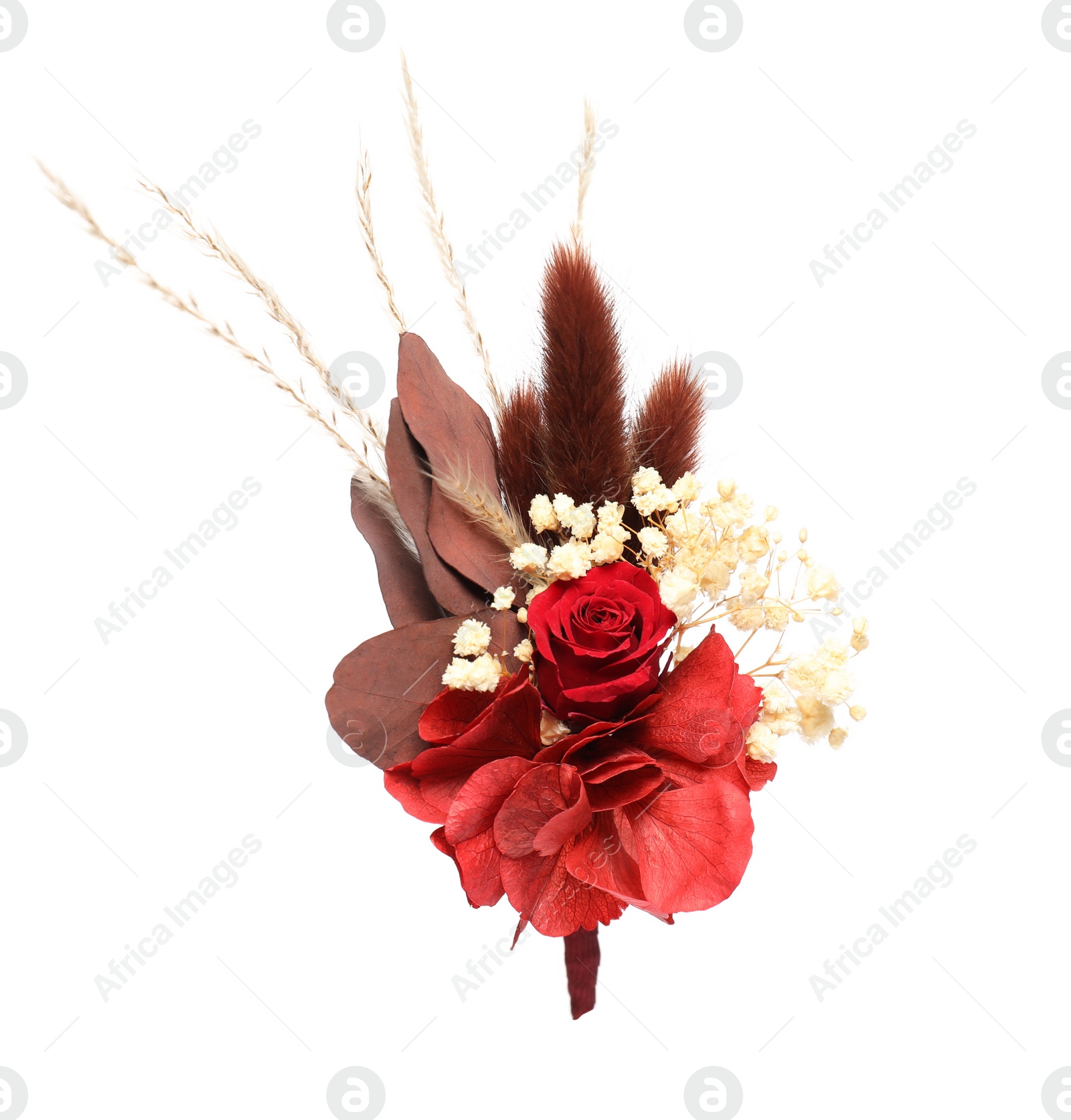 Photo of Beautiful boutonniere with red rose isolated on white