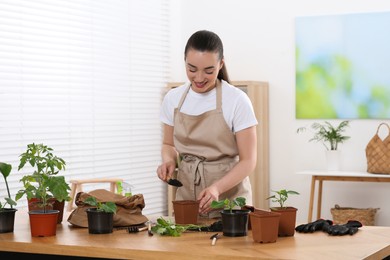 Photo of Happy woman planting seedling into pot at wooden table in room