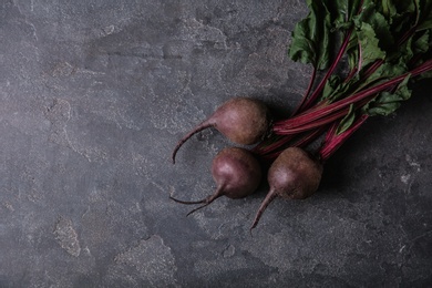 Fresh beets with leaves on grey table, top view. Space for text