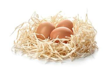 Photo of Nest with eggs on white background. Pension concept