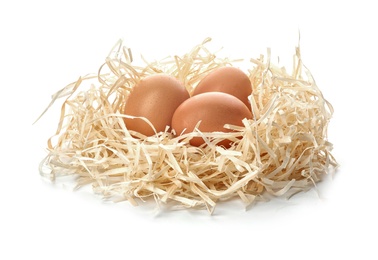 Nest with eggs on white background. Pension concept