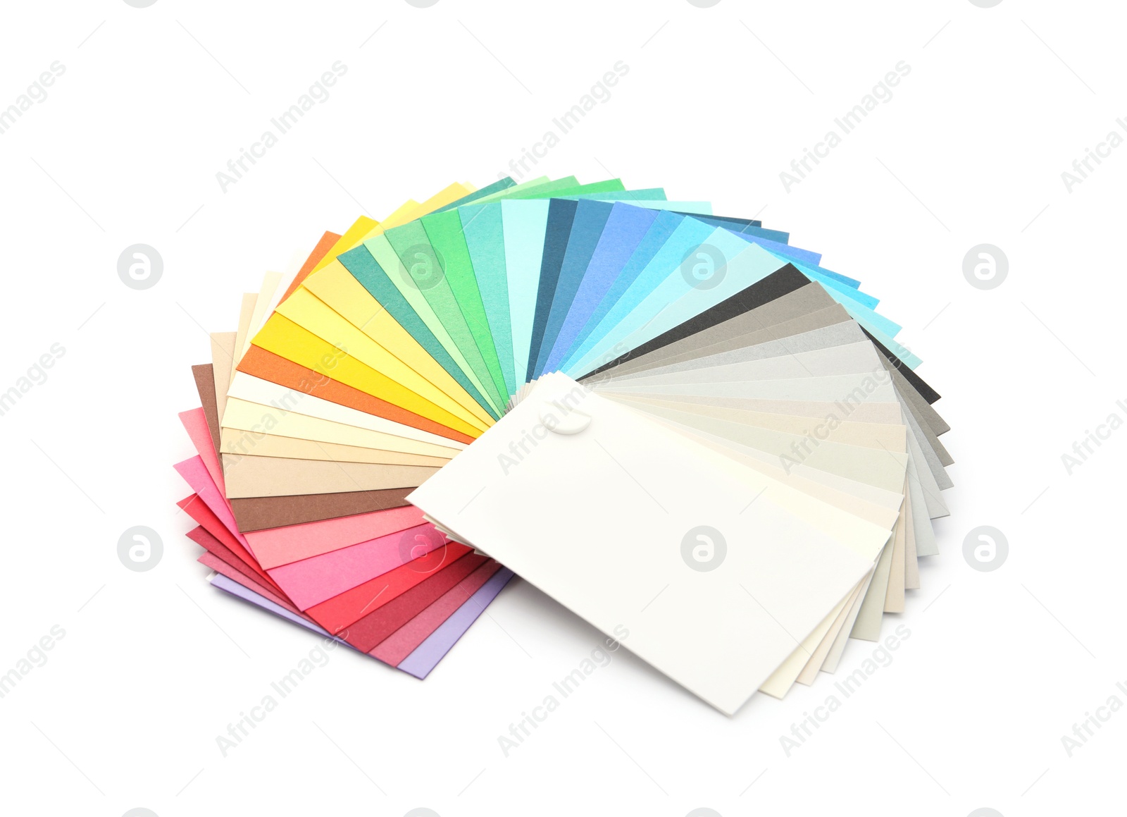 Photo of Color palette isolated on white. Professional samples